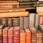 Sunday in Paris Books for Sale Along the Seine - Every Day Paris 