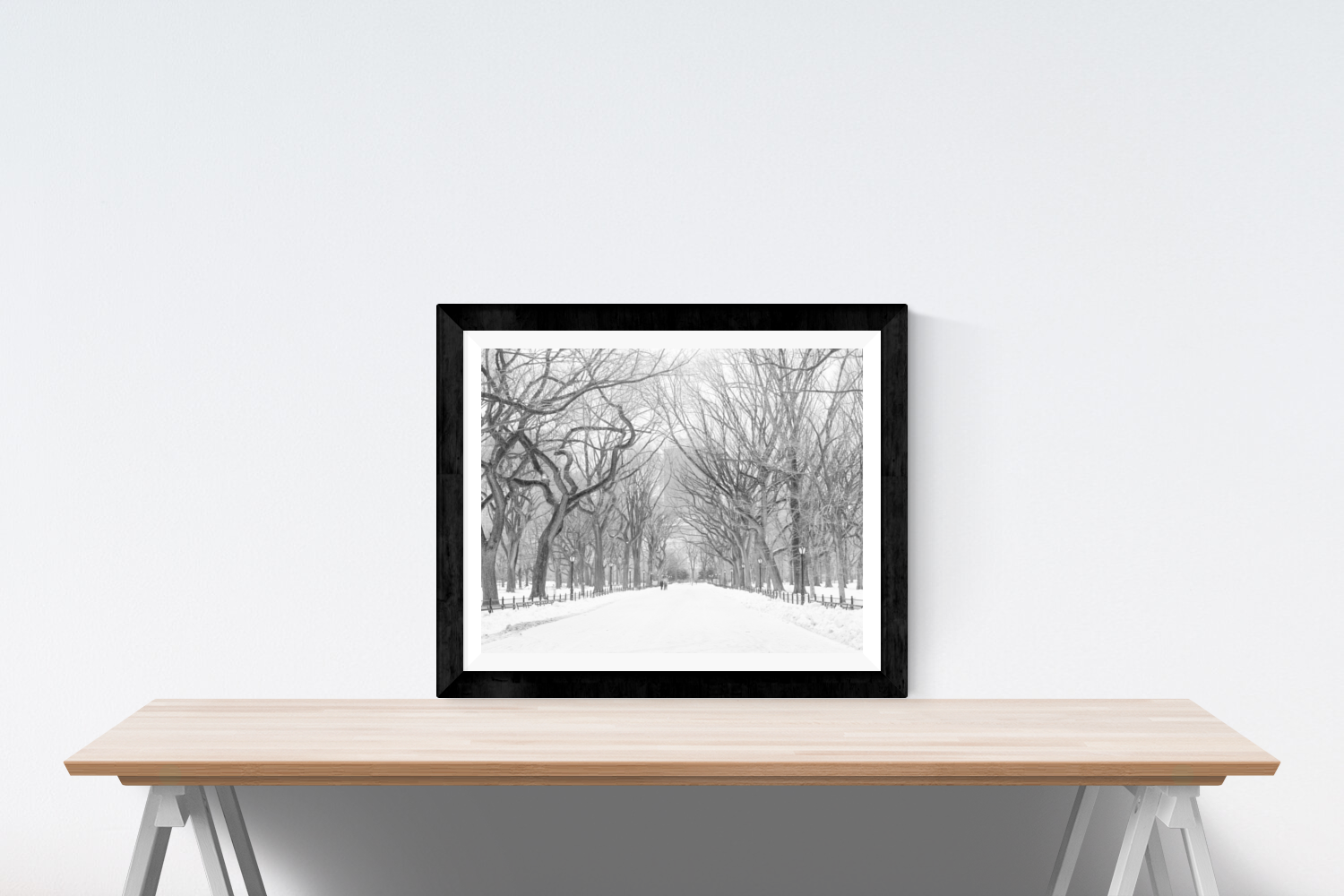Snow in Central Park NYC - Every Day Paris 