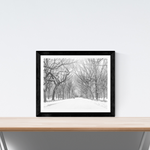 Snow in Central Park NYC - Every Day Paris 