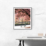 Underneath the Cherry Blossoms in Paris - Every Day Paris 