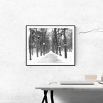 Snowy Path in Paris - Every Day Paris 