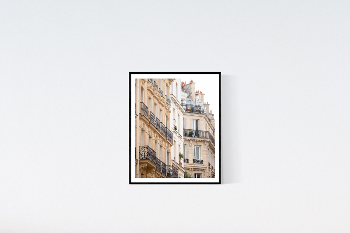 Parisian Rooftops In Montmartre