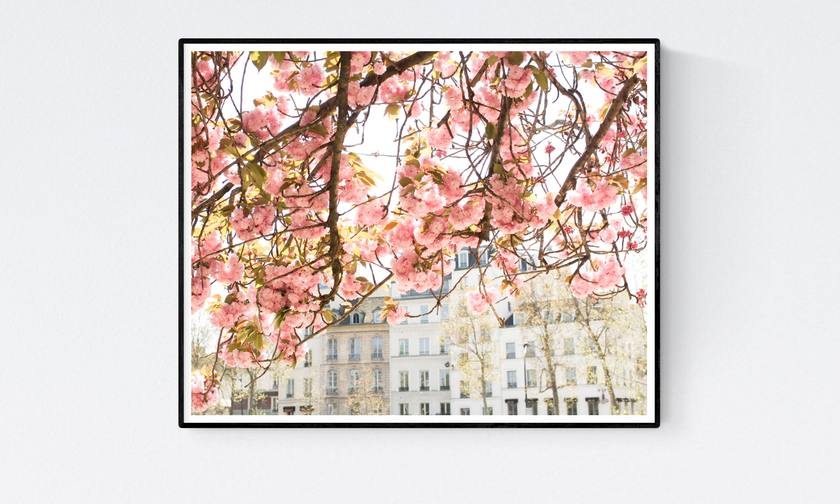 Spring by the Seine - Every Day Paris 