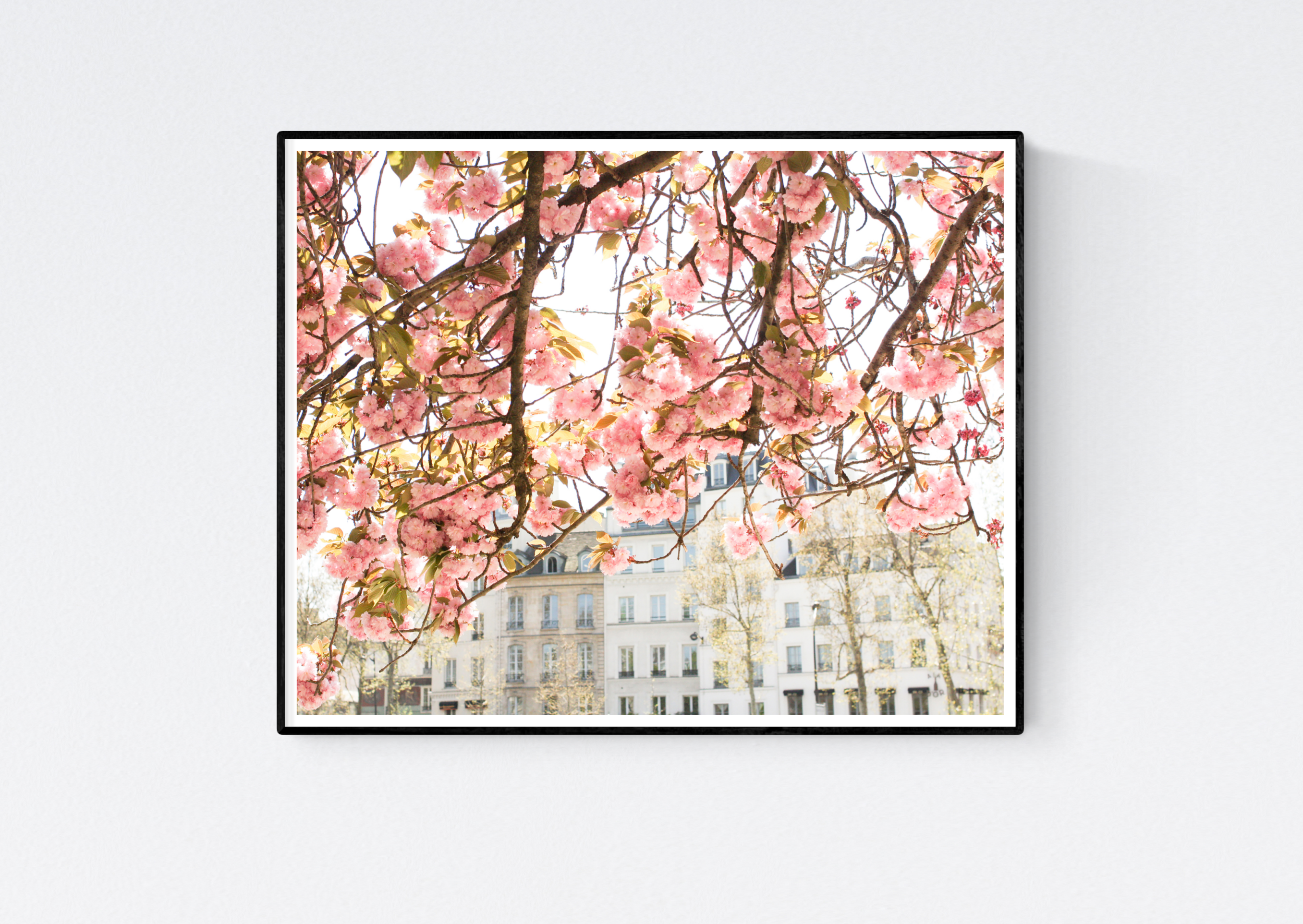 Spring by the Seine - Every Day Paris 