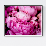 Fragrant Bright Pink Peonies - Every Day Paris 