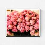 Summer Fragrant Pink Peonies in Southern France - Every Day Paris 