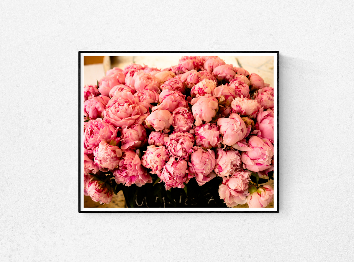 Summer Fragrant Pink Peonies in Southern France - Every Day Paris 