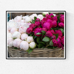 Paris Pink Peonies for Sale - Every Day Paris 