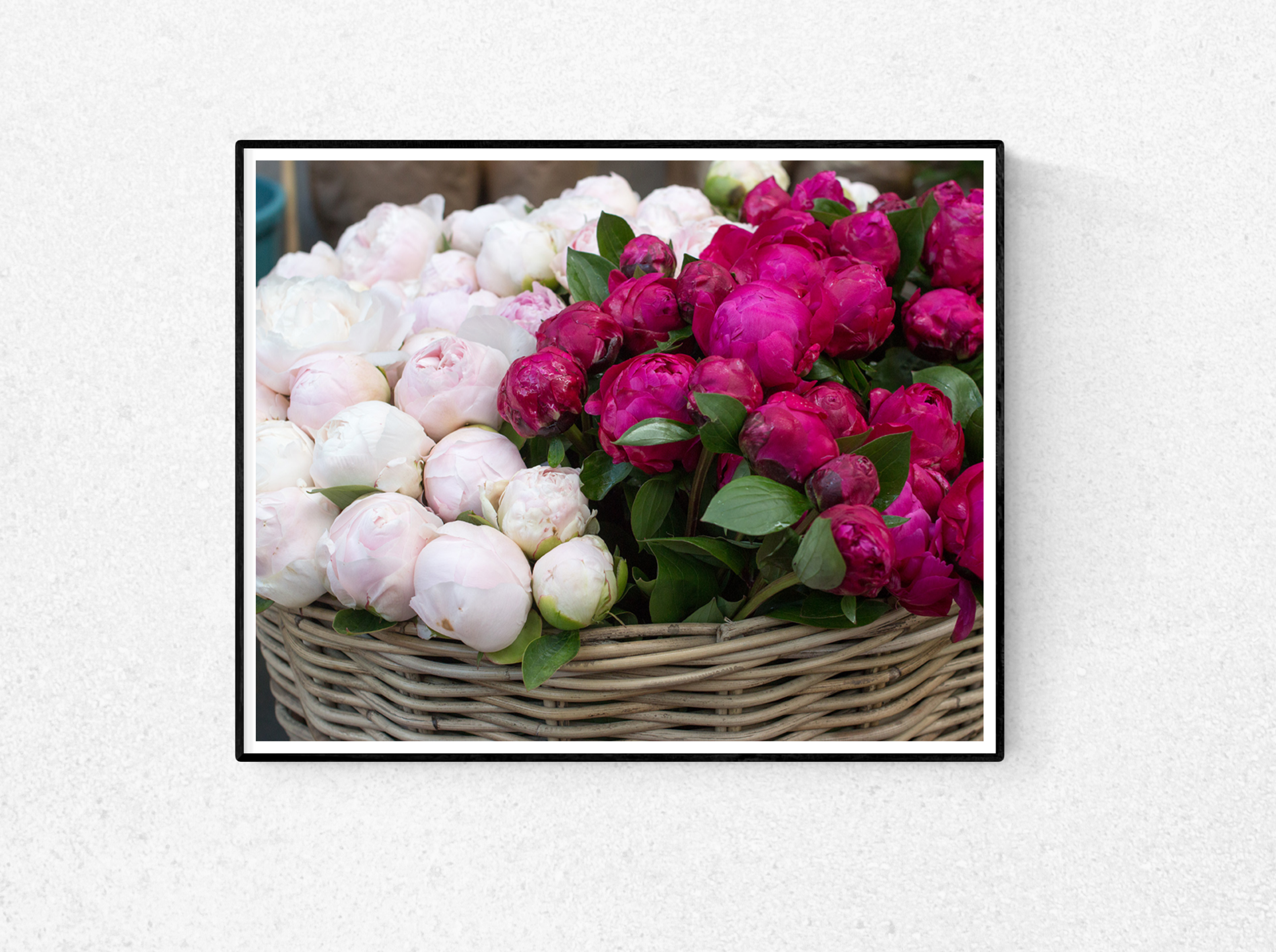 Paris Pink Peonies for Sale - Every Day Paris 