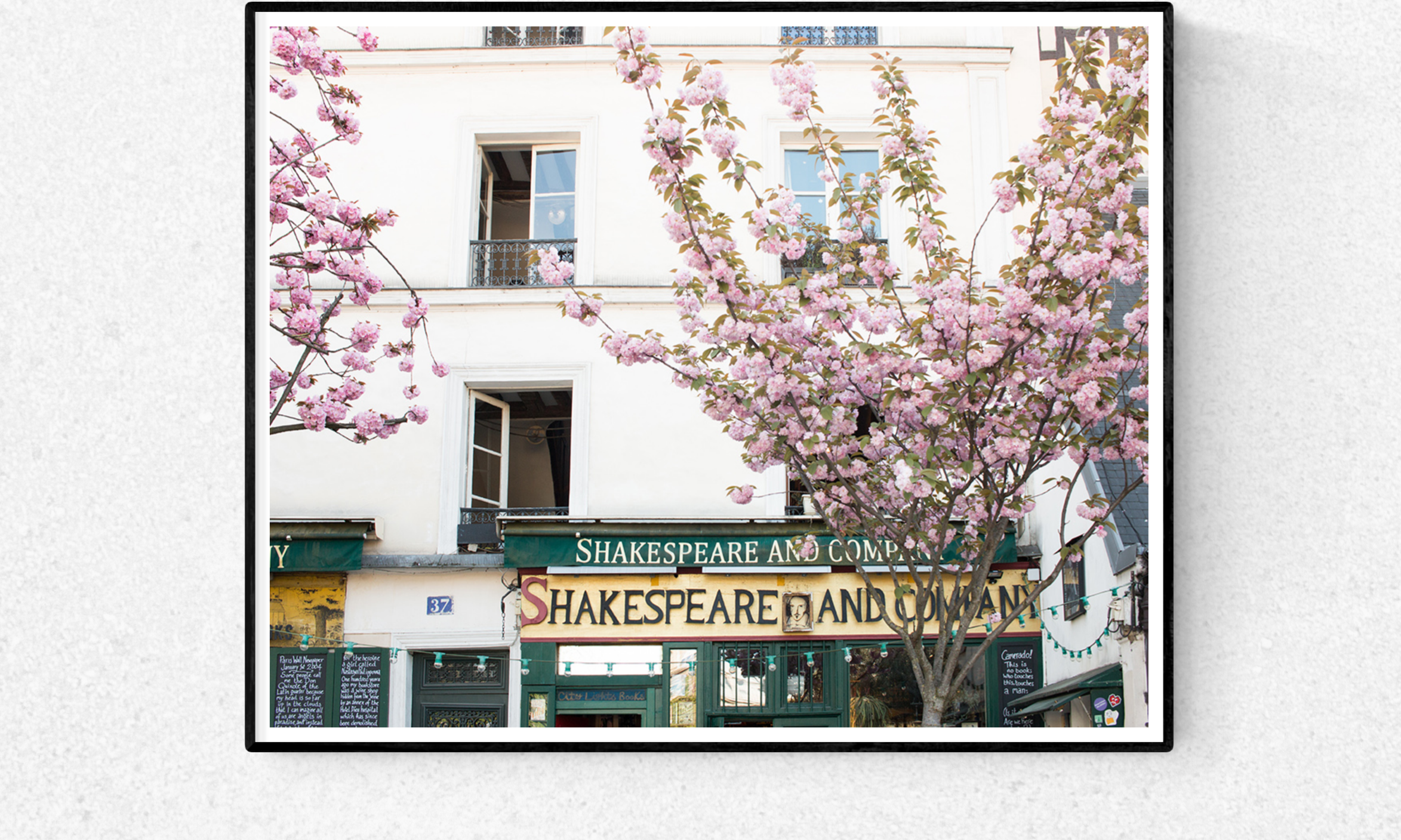 Cherry Blossoms at Shakespeare and Company - Every Day Paris 