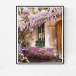 Purple Wisteria in Paris - Every Day Paris 