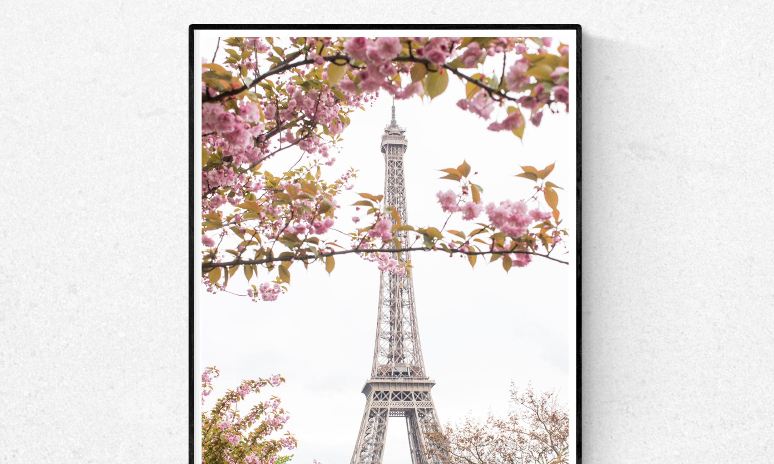 Spring Cherry Blossoms at The Eiffel Tower - Every Day Paris 