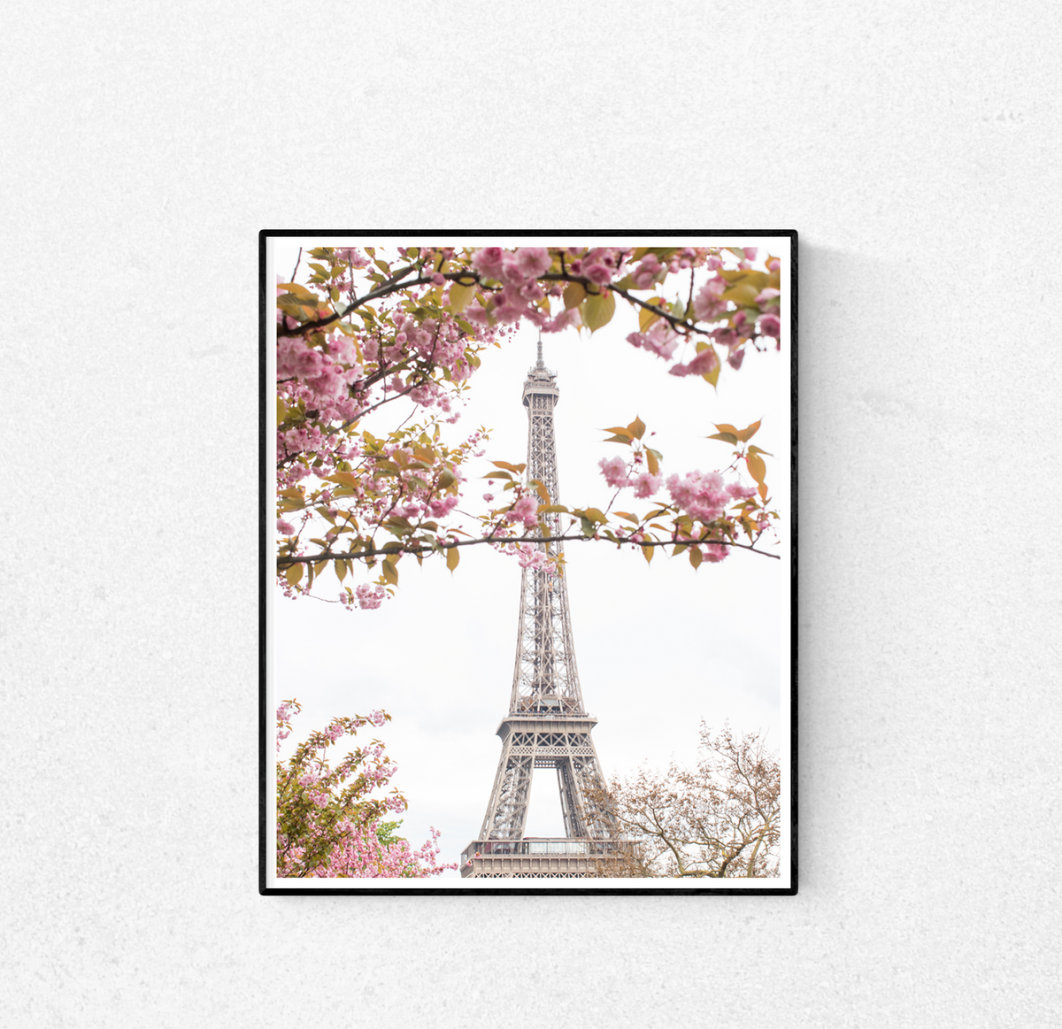 Spring Cherry Blossoms at The Eiffel Tower - Every Day Paris 
