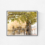 Fall in Parc Monceau - Every Day Paris 
