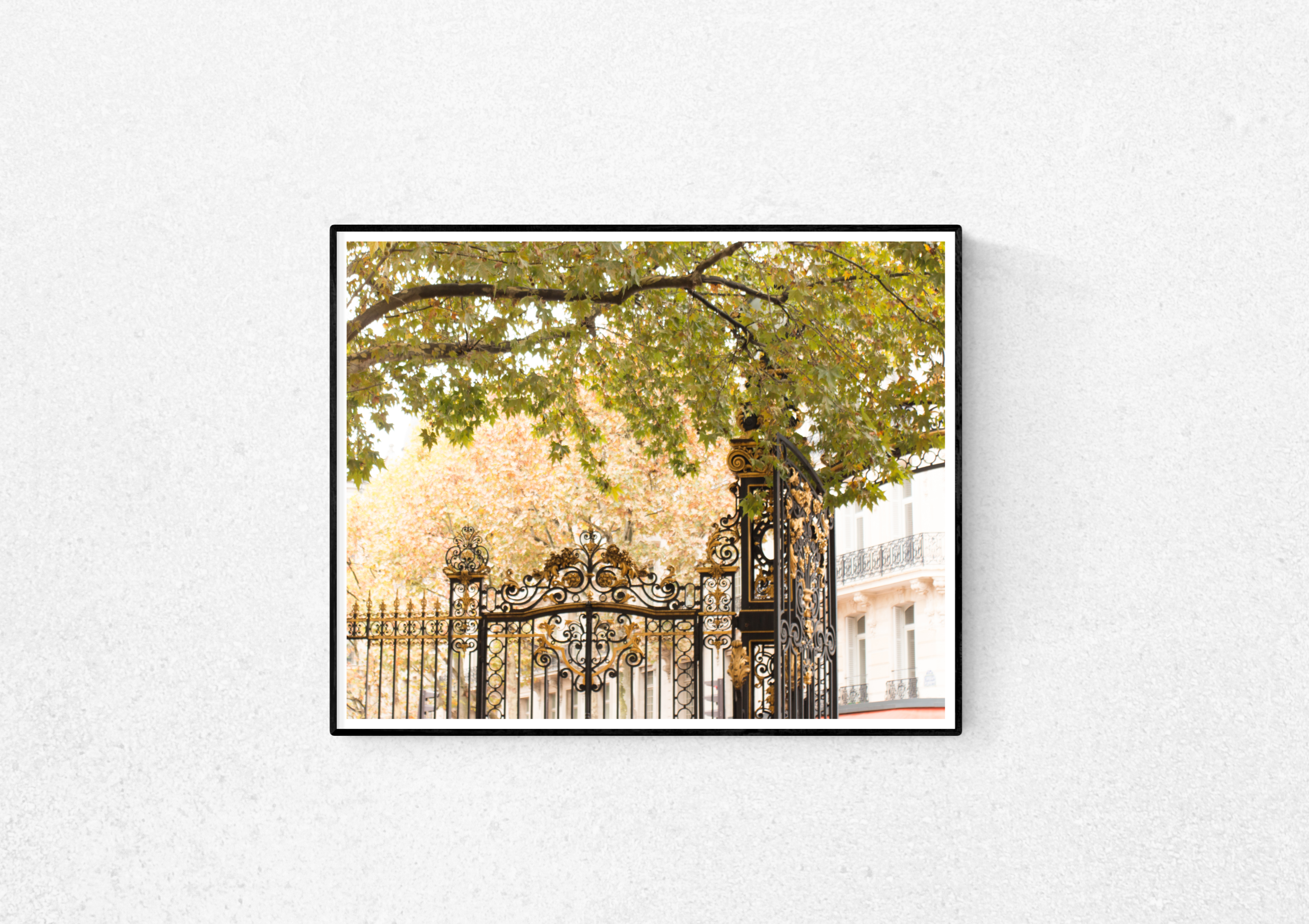 Fall in Parc Monceau - Every Day Paris 