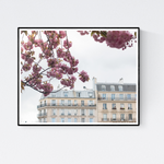 Paris in Bloom Along the Seine - Every Day Paris 