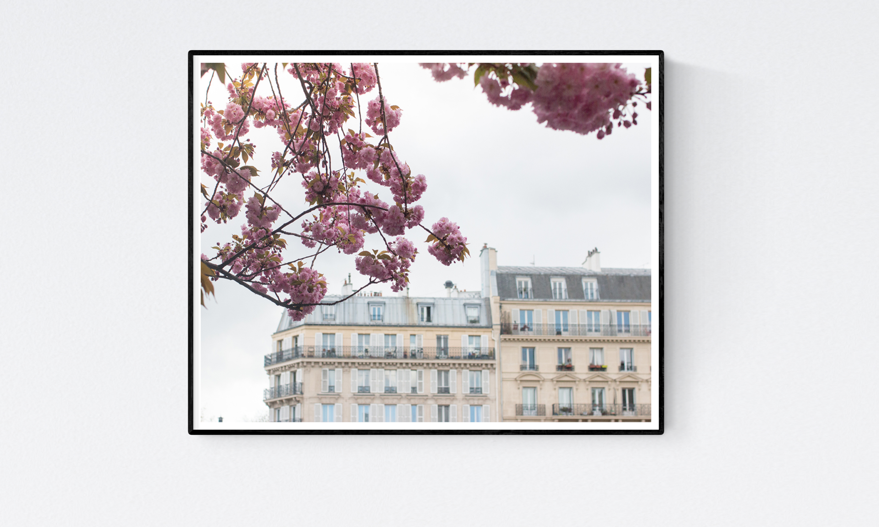 Paris in Bloom Along the Seine - Every Day Paris 