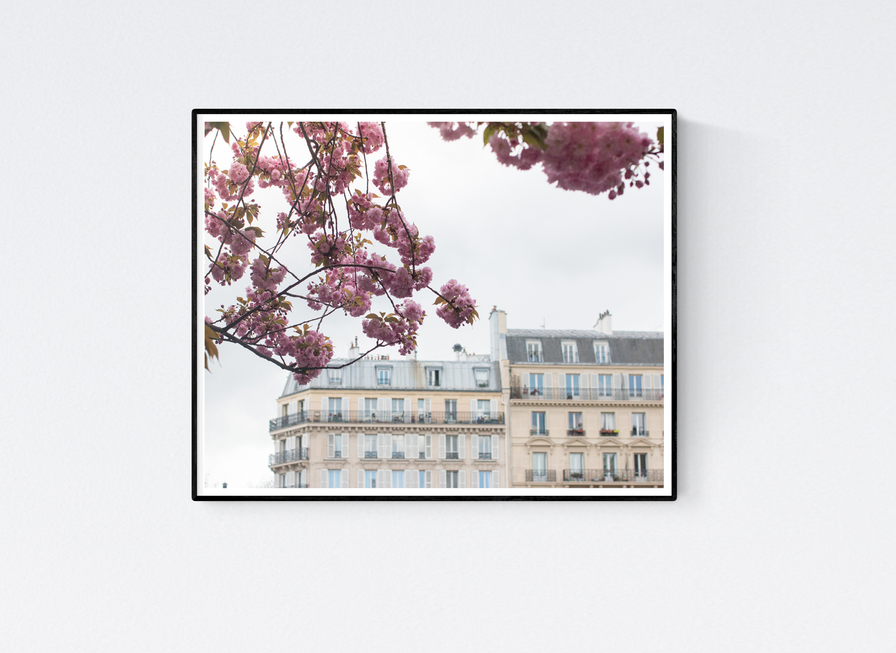 Paris in Bloom Along the Seine - Every Day Paris 