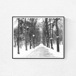 Snowy Path in Paris - Every Day Paris 