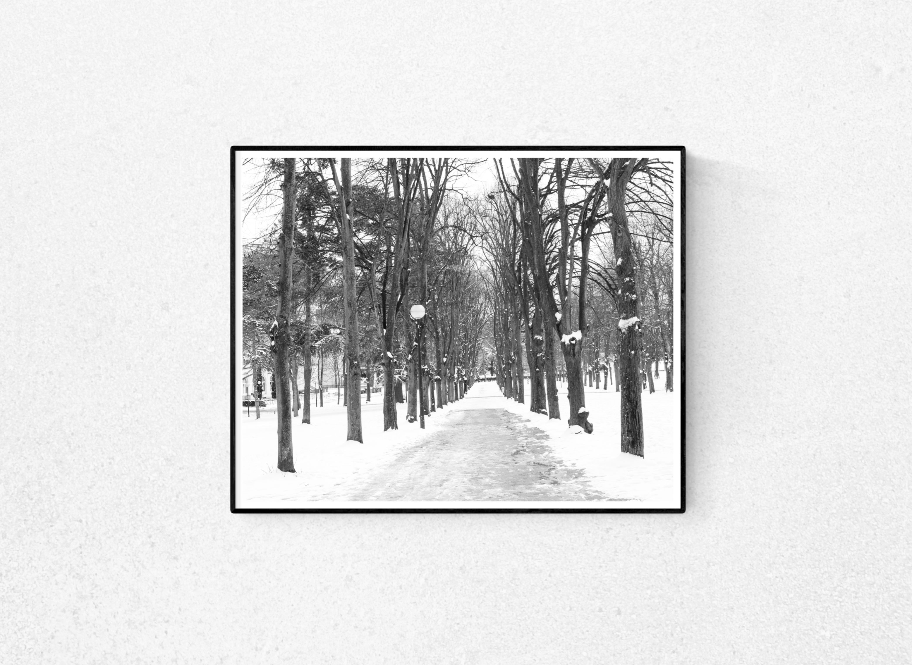 Snowy Path in Paris - Every Day Paris 